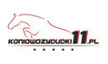 Firma Handlowo Usługowa Łukasz Piotrowicz