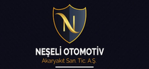 NEŞELİ TRUCK...