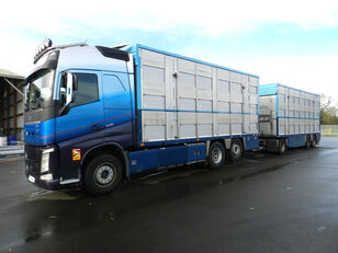 gyvulių pervežimo sunkvežimis Volvo FH 500  with case and trailer IRMA + priekaba gyvuliams vezti