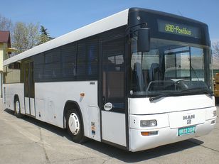 tarpmiestinis - priemiestinis autobusas MAN OMNIBUS M3-53